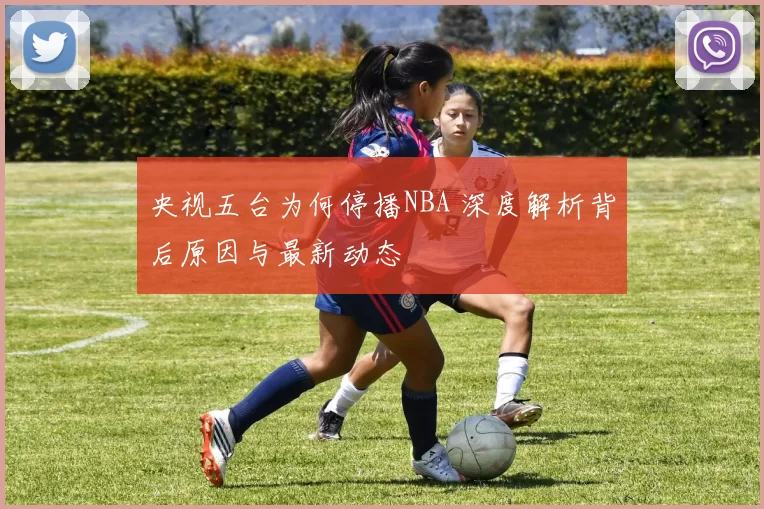央视五台为何停播NBA 深度解析背后原因与最新动态