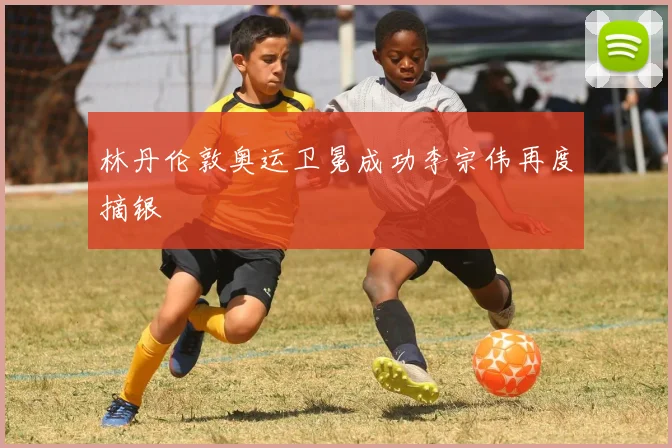 林丹伦敦奥运卫冕成功李宗伟再度摘银