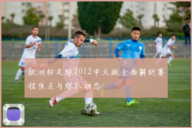 欧洲杯足球2012中文版全面解析赛程焦点与球队动态