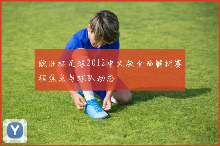 欧洲杯足球2012中文版全面解析赛程焦点与球队动态