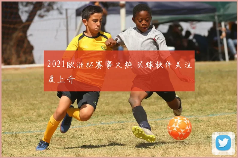2021欧洲杯赛事火热 买球软件关注度上升